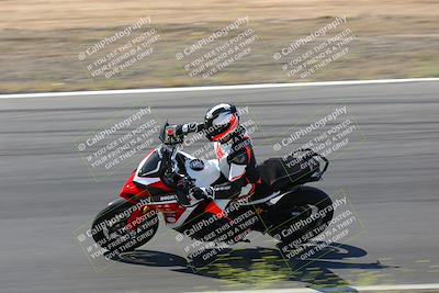 media/May-09-2022-Moto Forza (Mon) [[0226cf3505]]/Group B/B 920am/